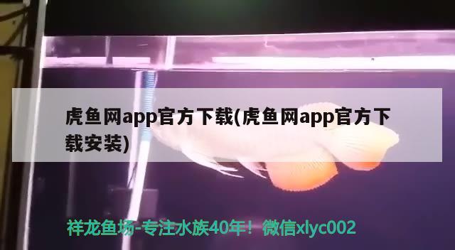 虎鱼网app官方下载(虎鱼网app官方下载安装)