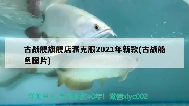 古战舰旗舰店派克服2021年新款(古战船鱼图片) 观赏鱼