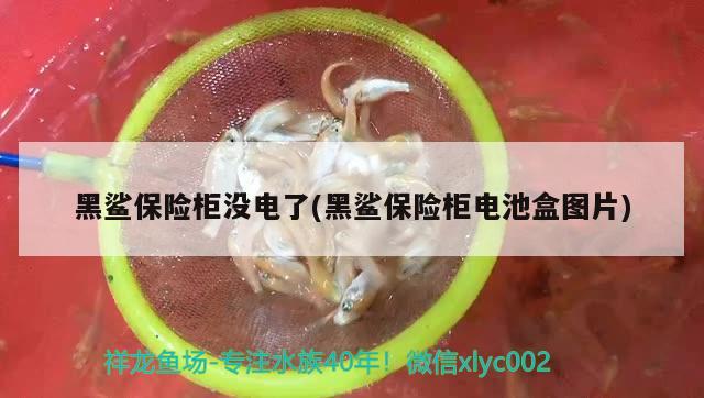 黑鲨保险柜没电了(黑鲨保险柜电池盒图片)