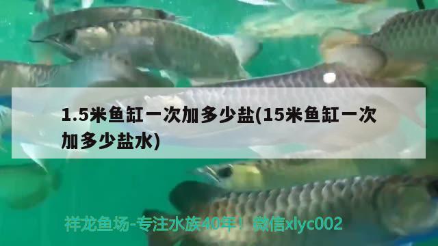 1.5米鱼缸一次加多少盐(15米鱼缸一次加多少盐水) 斑马狗头鱼