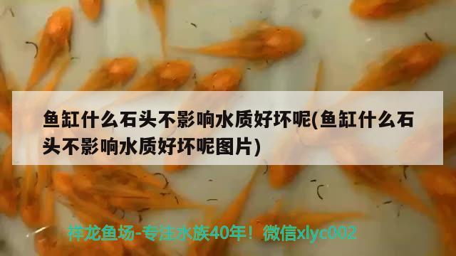 鱼缸什么石头不影响水质好坏呢(鱼缸什么石头不影响水质好坏呢图片)