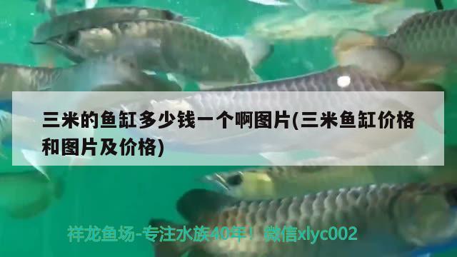 三米的鱼缸多少钱一个啊图片(三米鱼缸价格和图片及价格)