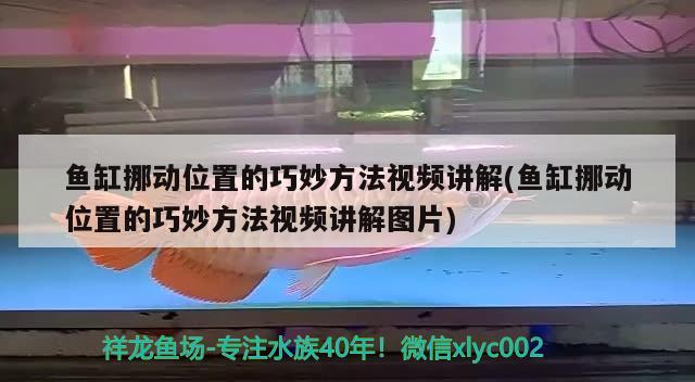 鱼缸挪动位置的巧妙方法视频讲解(鱼缸挪动位置的巧妙方法视频讲解图片)