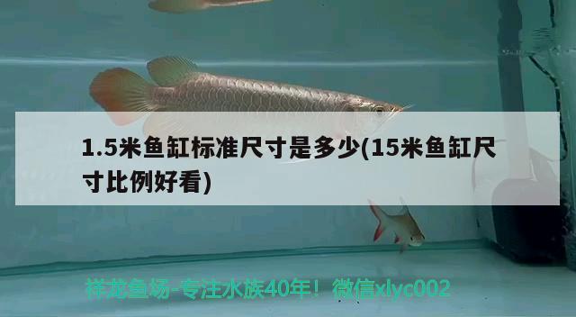 1.5米鱼缸标准尺寸是多少(15米鱼缸尺寸比例好看) 彩鲽鱼缸（彩蝶鱼缸）