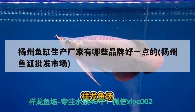 扬州鱼缸生产厂家有哪些品牌好一点的(扬州鱼缸批发市场) 翡翠凤凰鱼