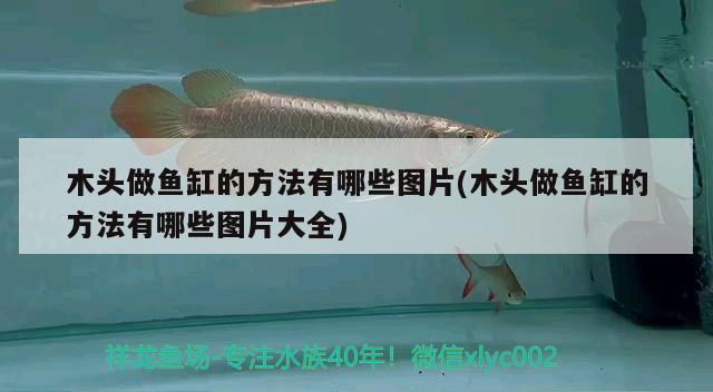 木头做鱼缸的方法有哪些图片(木头做鱼缸的方法有哪些图片大全) 广州水族批发市场