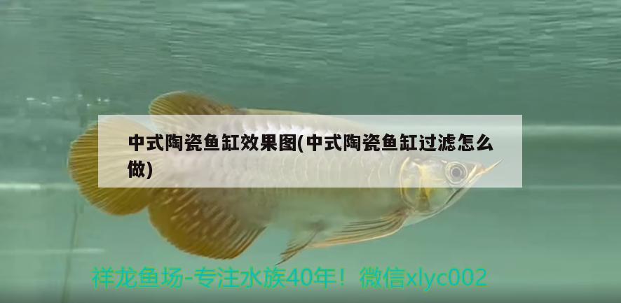 中式陶瓷鱼缸效果图(中式陶瓷鱼缸过滤怎么做) 水族杂谈