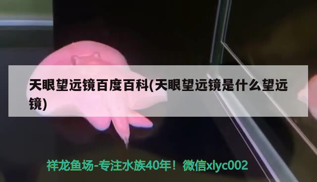 天眼望远镜百度百科(天眼望远镜是什么望远镜) 观赏鱼 第2张