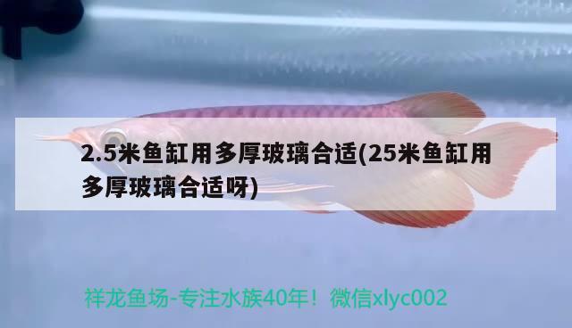 2.5米鱼缸用多厚玻璃合适(25米鱼缸用多厚玻璃合适呀)