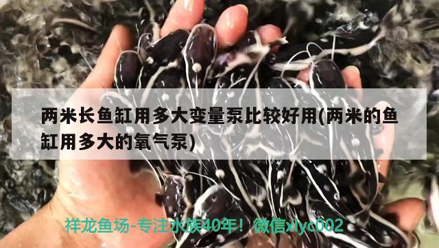 两米长鱼缸用多大变量泵比较好用(两米的鱼缸用多大的氧气泵)