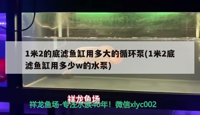 1米2的底滤鱼缸用多大的循环泵(1米2底滤鱼缸用多少w的水泵) 冲氧泵