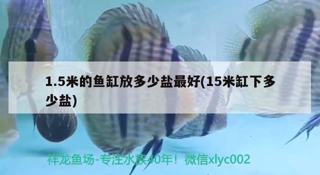 1.5米的鱼缸放多少盐最好(15米缸下多少盐) 祥龙水族护理水