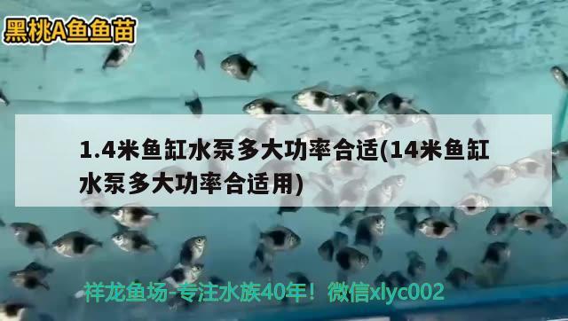 1.4米鱼缸水泵多大功率合适(14米鱼缸水泵多大功率合适用) 鱼缸水泵 第2张