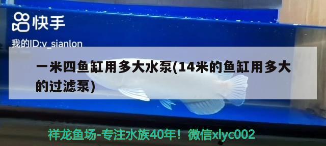 一米四鱼缸用多大水泵(14米的鱼缸用多大的过滤泵) 超血红龙鱼 第1张