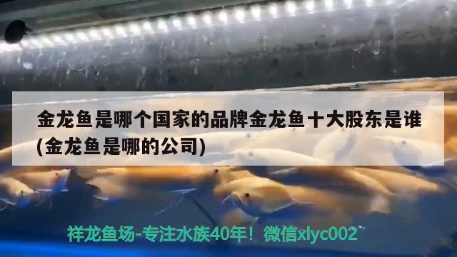 金龙鱼是哪个国家的品牌金龙鱼十大股东是谁(金龙鱼是哪的公司)