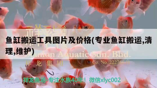 鱼缸搬运工具图片及价格(专业鱼缸搬运,清理,维护)