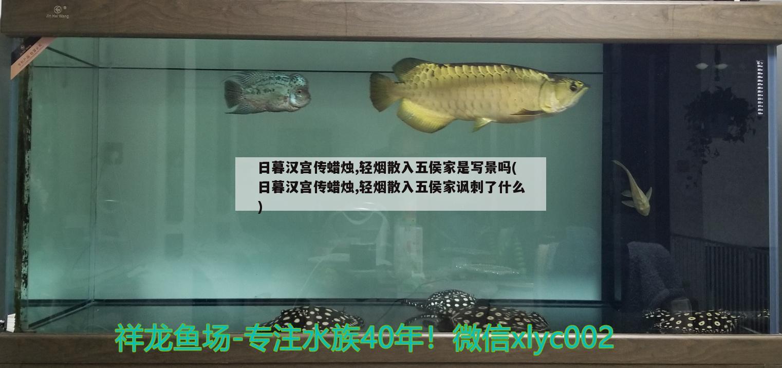 日暮汉宫传蜡烛,轻烟散入五侯家是写景吗(日暮汉宫传蜡烛,轻烟散入五侯家讽刺了什么)