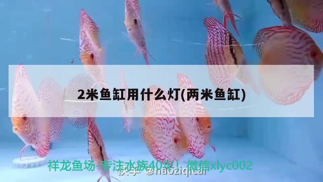 2米鱼缸用什么灯(两米鱼缸)