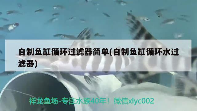 自制鱼缸循环过滤器简单(自制鱼缸循环水过滤器) 广州水族器材滤材批发市场