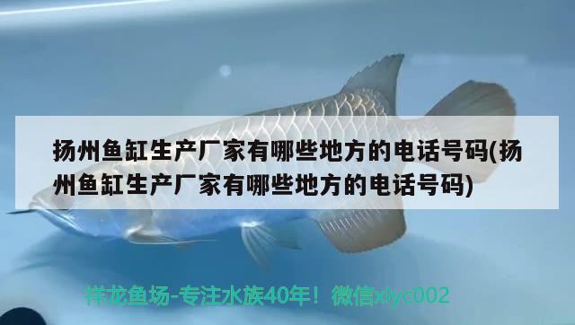 扬州鱼缸生产厂家有哪些地方的电话号码(扬州鱼缸生产厂家有哪些地方的电话号码) 帝王三间鱼