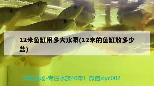 12米鱼缸用多大水泵(12米的鱼缸放多少盐) 一眉道人鱼