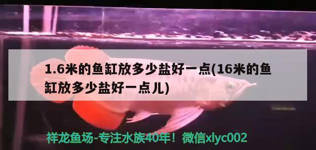 1.6米的鱼缸放多少盐好一点(16米的鱼缸放多少盐好一点儿) 野彩鱼