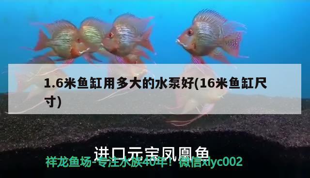 1.6米鱼缸用多大的水泵好(16米鱼缸尺寸)