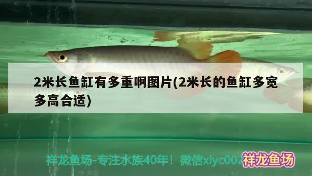 2米长鱼缸有多重啊图片(2米长的鱼缸多宽多高合适) 绿皮辣椒小红龙