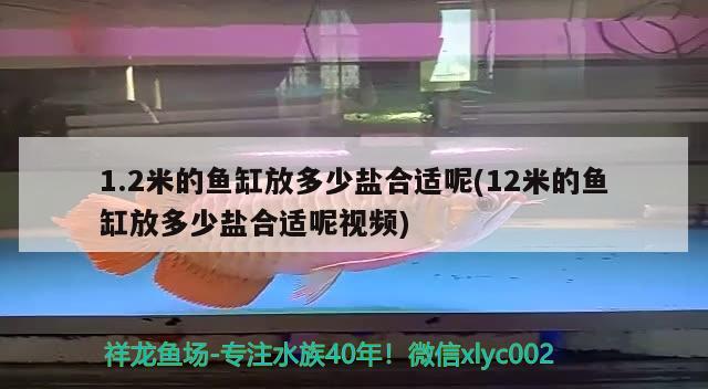 1.2米的鱼缸放多少盐合适呢(12米的鱼缸放多少盐合适呢视频) 电鳗