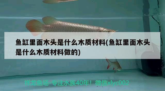 鱼缸里面木头是什么木质材料(鱼缸里面木头是什么木质材料做的) 观赏鱼水族批发市场