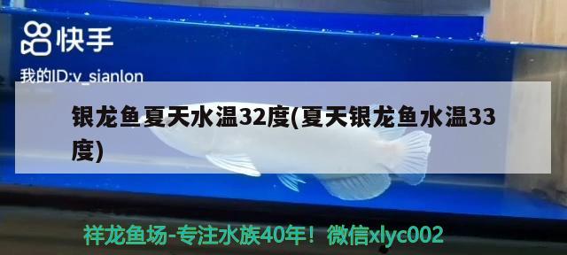 银龙鱼夏天水温32度(夏天银龙鱼水温33度)