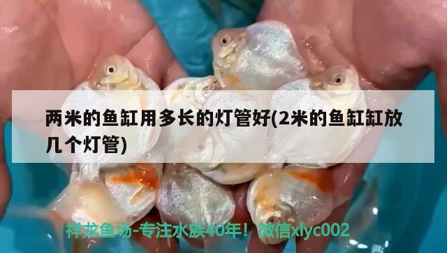 两米的鱼缸用多长的灯管好(2米的鱼缸缸放几个灯管)