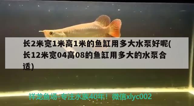 长2米宽1米高1米的鱼缸用多大水泵好呢(长12米宽04高08的鱼缸用多大的水泵合适) 观赏虾蟹等饲料