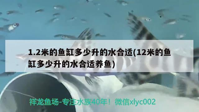 1.2米的鱼缸多少升的水合适(12米的鱼缸多少升的水合适养鱼) 2024第28届中国国际宠物水族展览会CIPS（长城宠物展2024 CIPS）