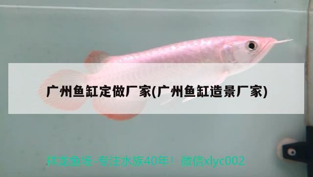 广州鱼缸定做厂家(广州鱼缸造景厂家) 广州水族批发市场 第1张