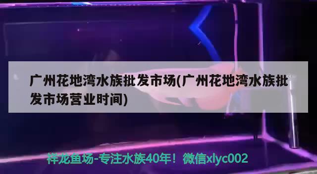 广州花地湾水族批发市场(广州花地湾水族批发市场营业时间) 观赏鱼水族批发市场