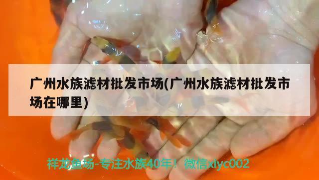 广州水族滤材批发市场(广州水族滤材批发市场在哪里)