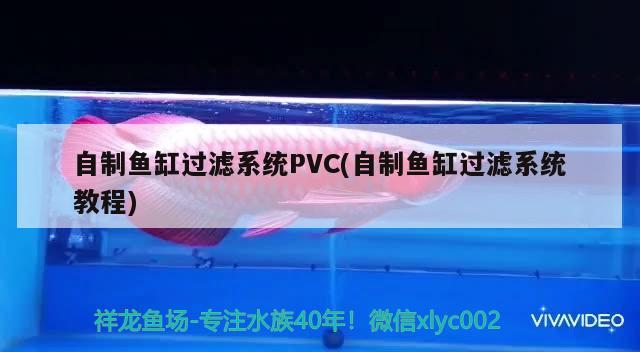 自制鱼缸过滤系统PVC(自制鱼缸过滤系统教程)