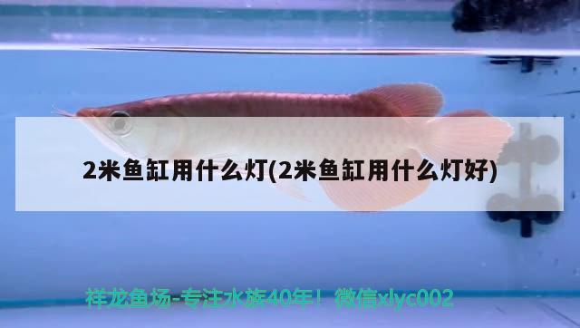 2米鱼缸用什么灯(2米鱼缸用什么灯好) 观赏鱼水族批发市场