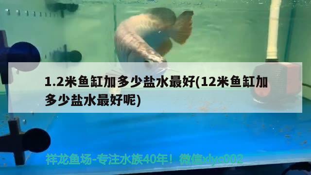 1.2米鱼缸加多少盐水最好(12米鱼缸加多少盐水最好呢)