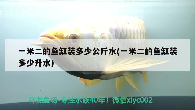 一米二的鱼缸装多少公斤水(一米二的鱼缸装多少升水) 翡翠凤凰鱼