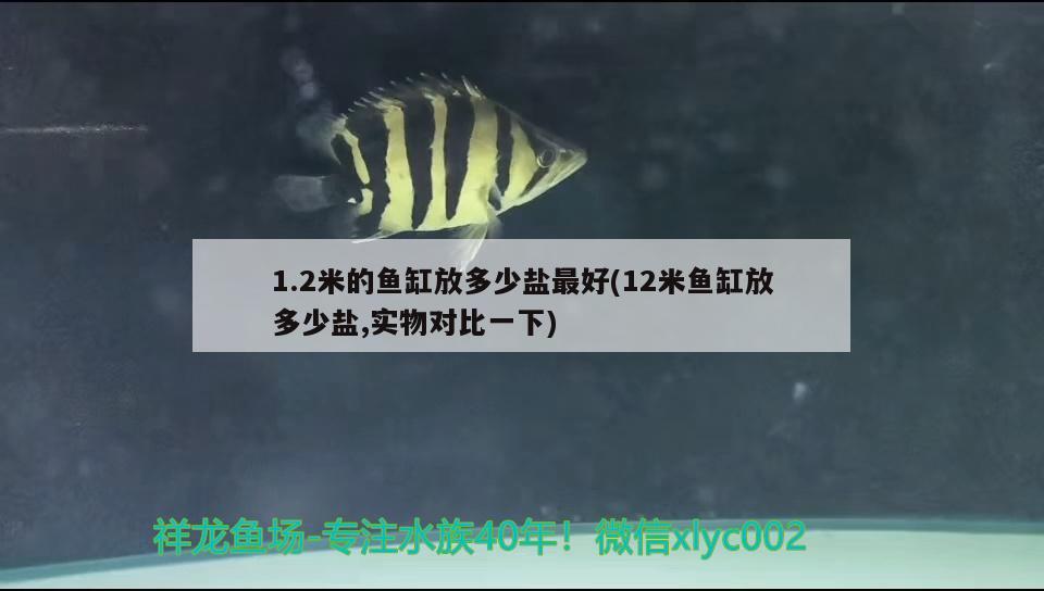 1.2米的鱼缸放多少盐最好(12米鱼缸放多少盐,实物对比一下) 水族杂谈