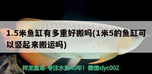 1.5米鱼缸有多重好搬吗(1米5的鱼缸可以竖起来搬运吗)