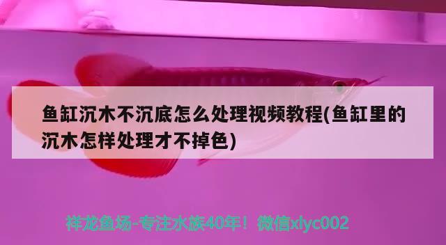 鱼缸沉木不沉底怎么处理视频教程(鱼缸里的沉木怎样处理才不掉色) 印尼虎苗