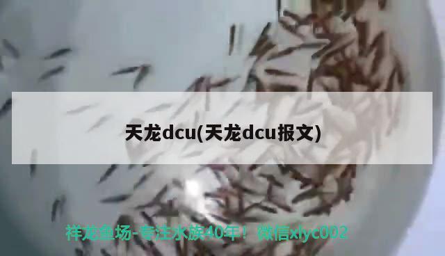 天龙dcu(天龙dcu报文) 观赏鱼