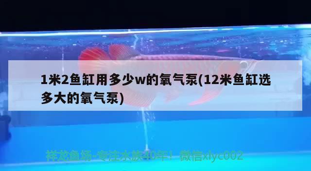 1米2鱼缸用多少w的氧气泵(12米鱼缸选多大的氧气泵) 胭脂孔雀龙鱼