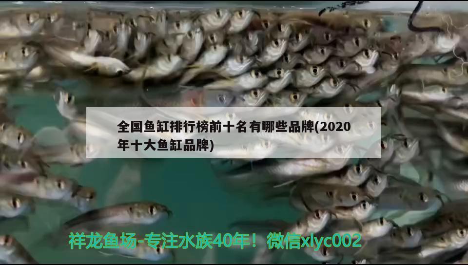 全国鱼缸排行榜前十名有哪些品牌(2020年十大鱼缸品牌) 鱼缸净水剂