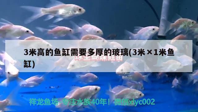 3米高的鱼缸需要多厚的玻璃(3米×1米鱼缸) 黑白双星