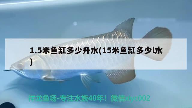 1.5米鱼缸多少升水(15米鱼缸多少l水) 养鱼知识