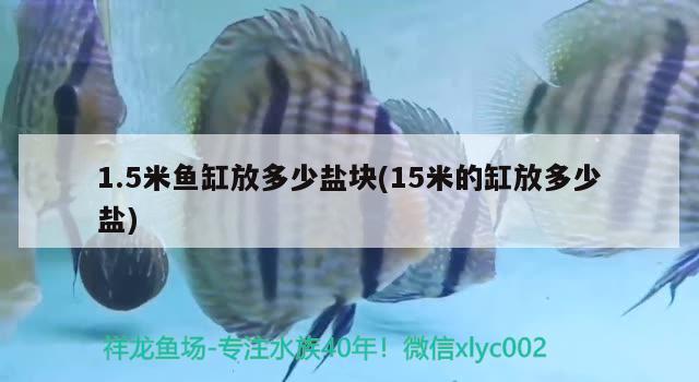 1.5米鱼缸放多少盐块(15米的缸放多少盐)